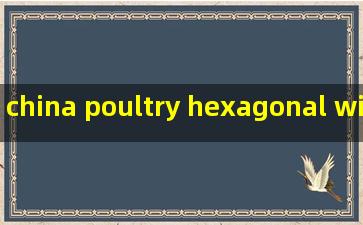 china poultry hexagonal wire mesh